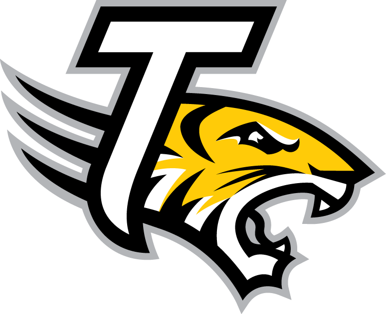 Towson Tigers 2004-Pres Alternate Logo v5 DIY iron on transfer (heat transfer)